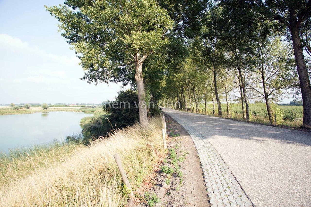 Tilias Hotell Ellewoutsdijk Exteriör bild